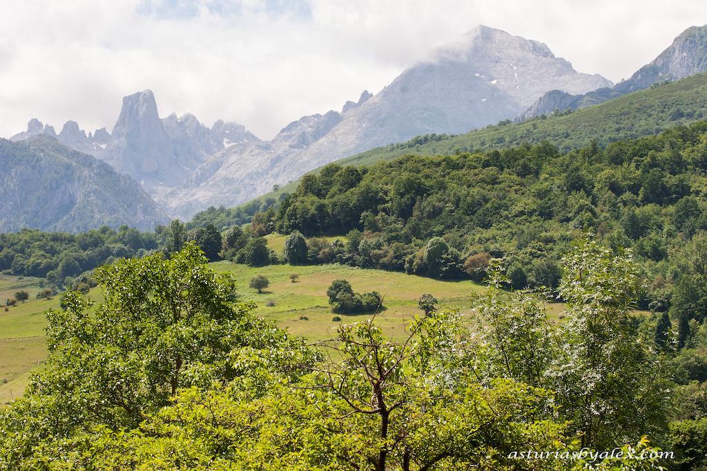 Hotel Rural Entremontes Onís Εξωτερικό φωτογραφία